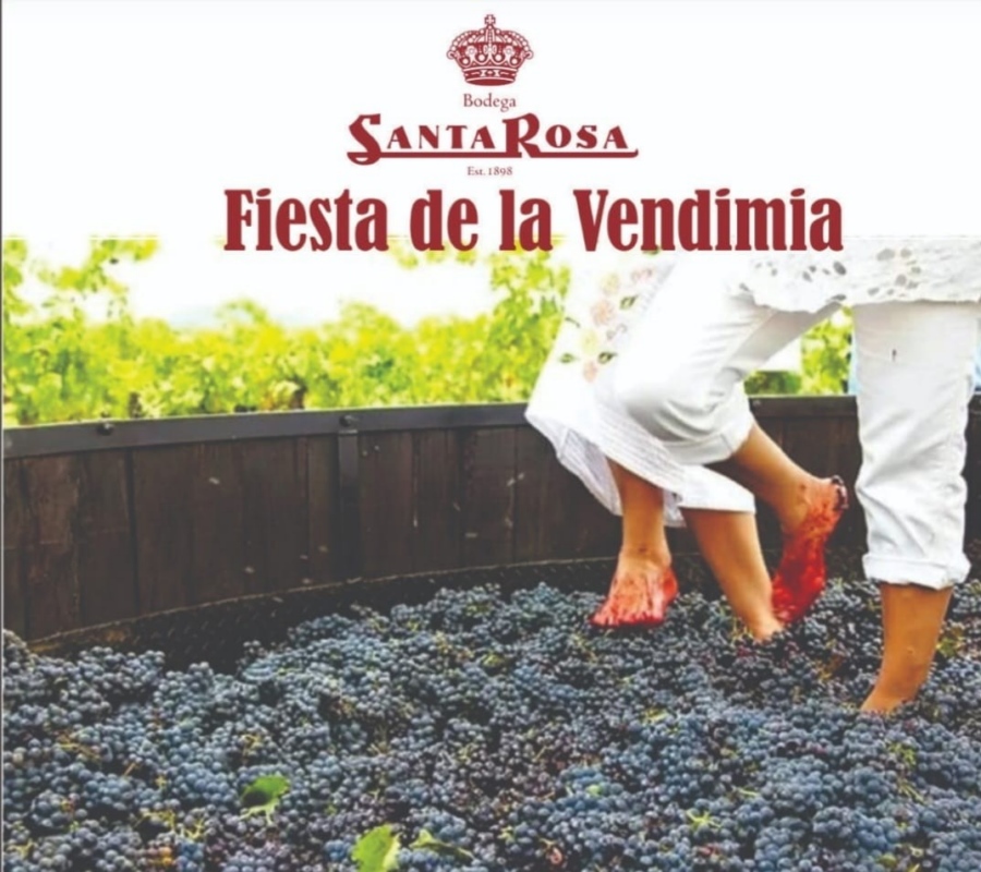 VENDIMIA_A_5_-_B_SANTA_ROSA_3d070.jpg