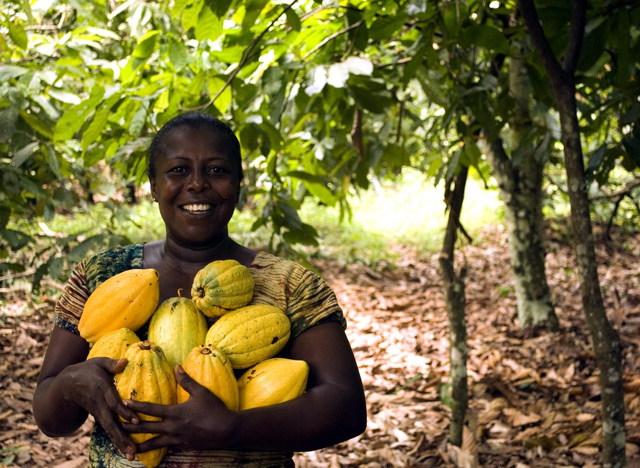 fruit-3247447_1280_707bf.jpg