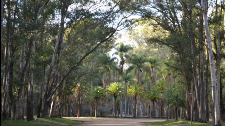 En setiembre el parque Roosevelt cumple 105 años y celebra con actividades todo el mes