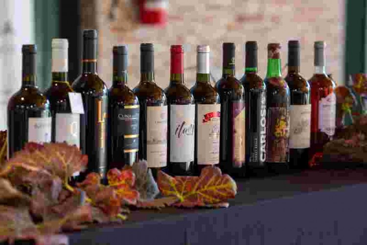 Presentaci&oacute;n de la Asociaci&oacute;n de Bodegas de Colonia para el desarrollo de la Ruta del Vino de Colonia