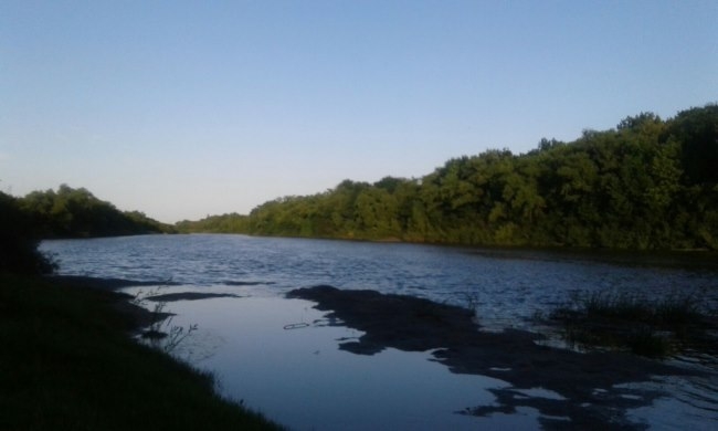 Informe de reservas en Semana de Carnaval en el departamento de Florida