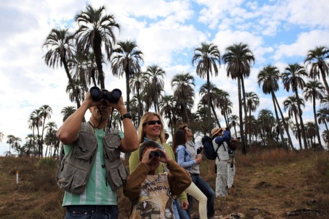 Calera de Barqu&iacute;n, viaje en el tiempo entre palmeras