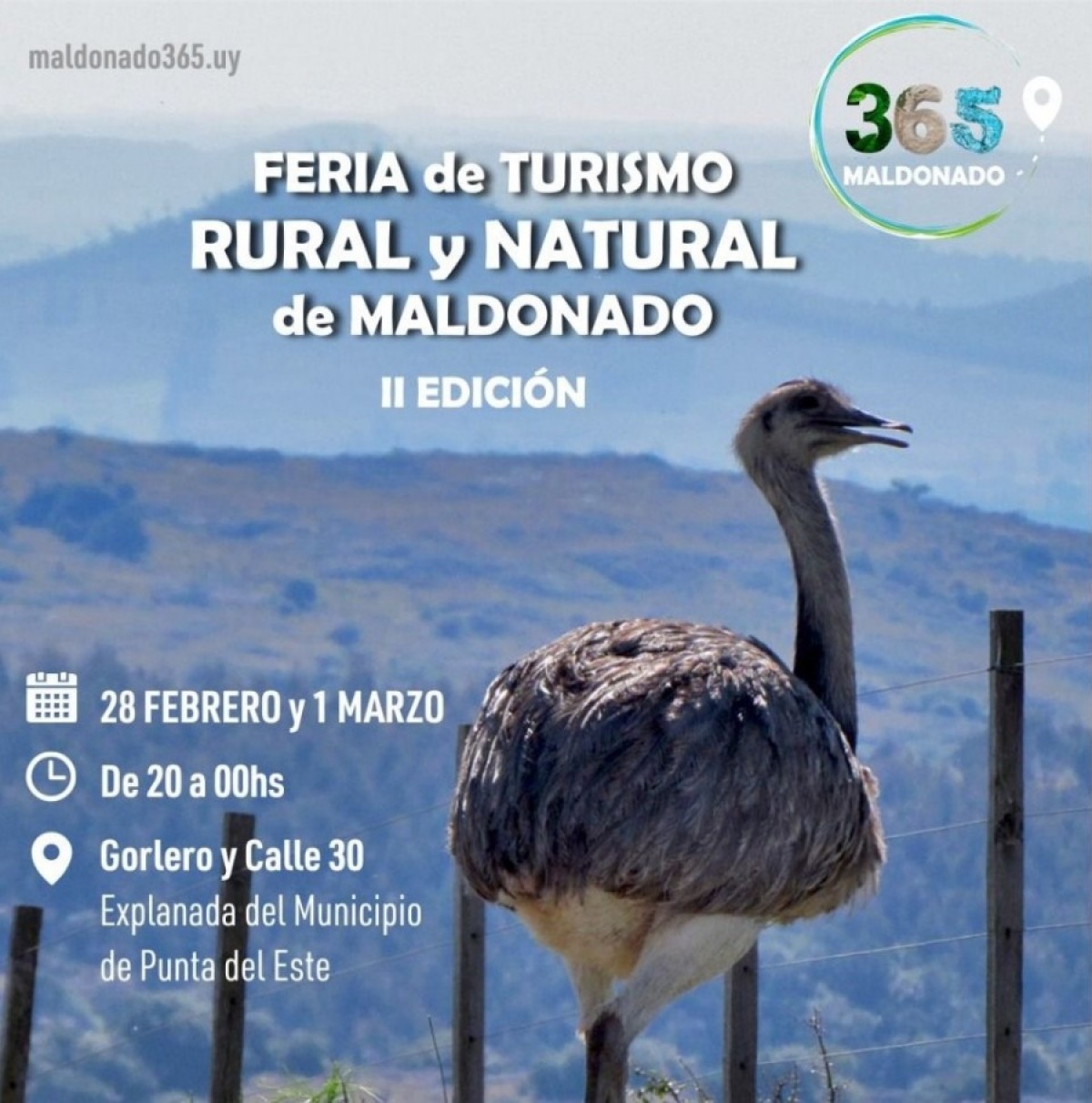 Vuelve Maldonado 365 a Punta del Este