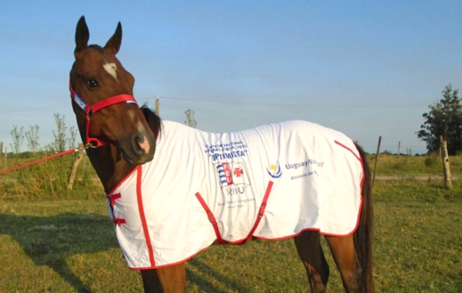 Ruta del Raid de marzo a noviembre