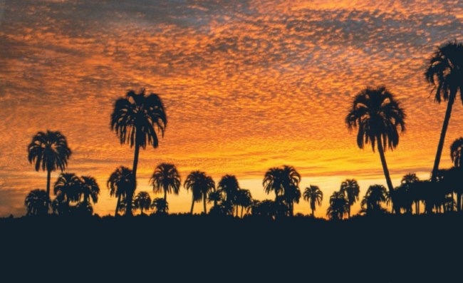 Entre R&iacute;os se promociona en Uruguay