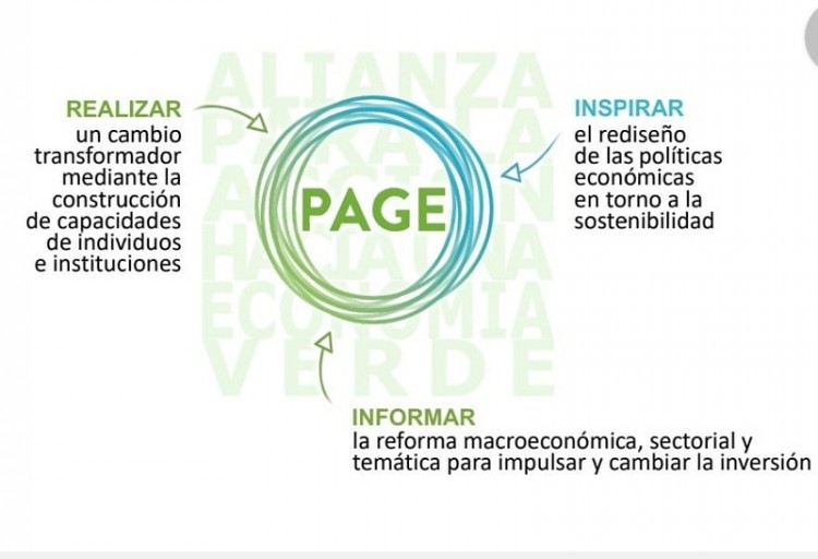 Transici&oacute;n hacia una nueva econom&iacute;a verde