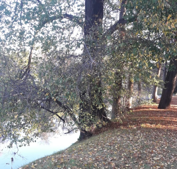 Invitaci&oacute;n a los Agentes Tur&iacute;sticos a compartir sus progresos en la acci&oacute;n por el clima