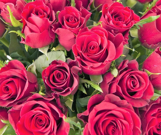 Rom&aacute;ntica LATAM