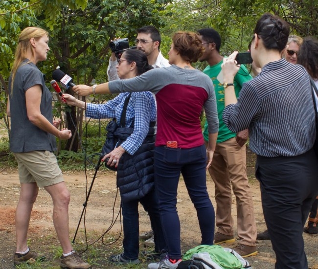La Iniciativa OMT/Chimelong sobre Vida Silvestre y Turismo lanza el Premio Period&iacute;stico