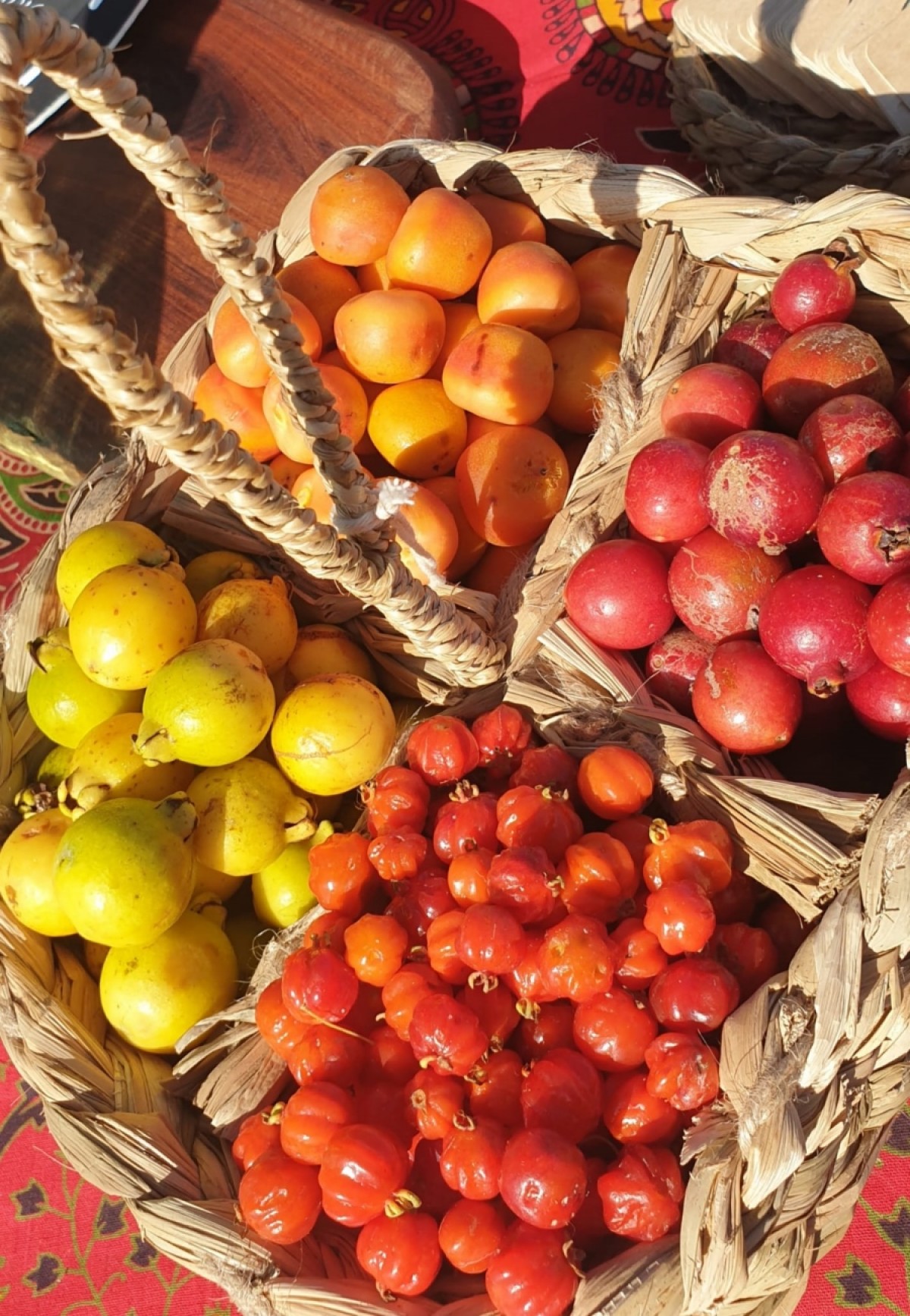 La gastronom&iacute;a rochense atrae en la Semana de Turismo