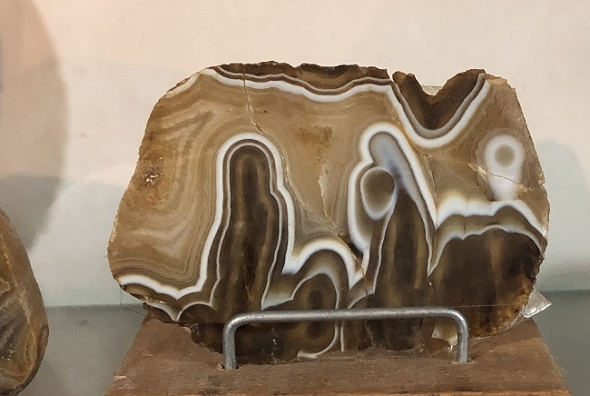 Reserva de &aacute;gatas en Col&oacute;n, una gema del turismo entrerriano