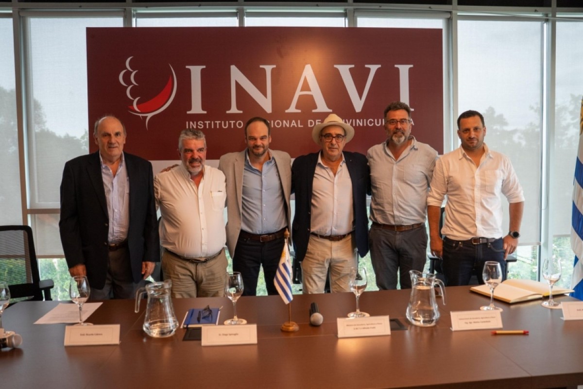Vendimia en Uruguay: cuando el vino es identidad, cultura y oportunidad