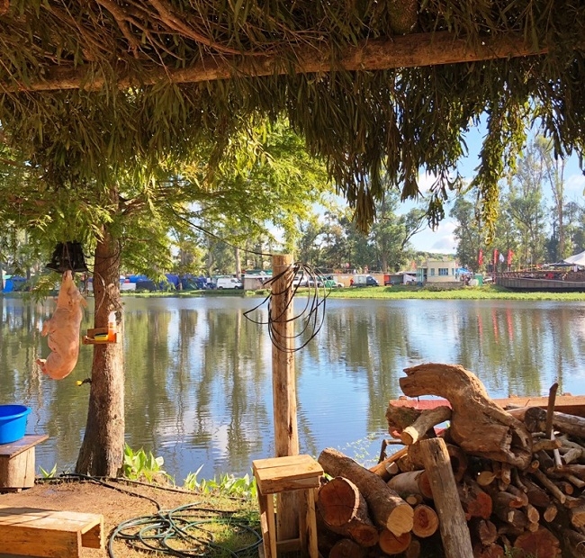 Patria Gaucha, genera compromiso de identidad rural