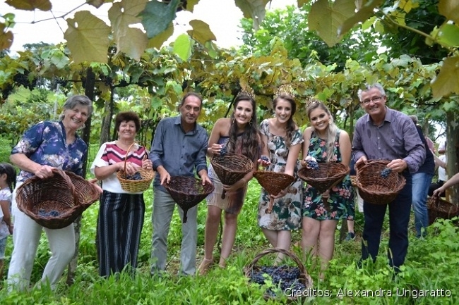 Cosecha y pisa de uva abren el Veraneo de la Vendimia 2019 en Garibaldi