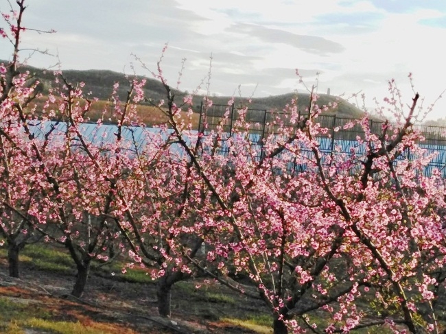 Muestra de tapices Itinerario de Montevideo a les Borges Blanques