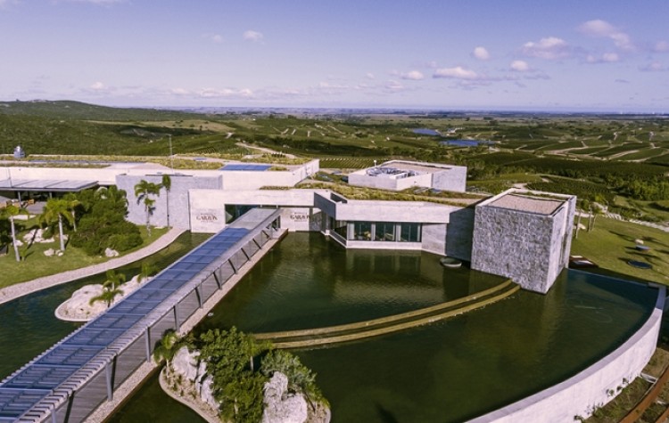 Premios internacionales para Uruguay