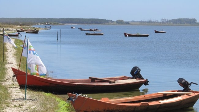 Rocha: un profundo sentimiento de pertenencia