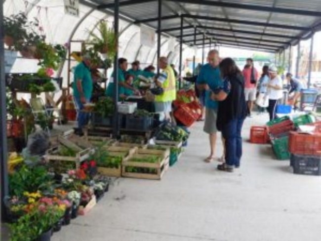 Mercado de Cercan&iacute;a: un circuito de agro y turismo en Atl&aacute;ntida
