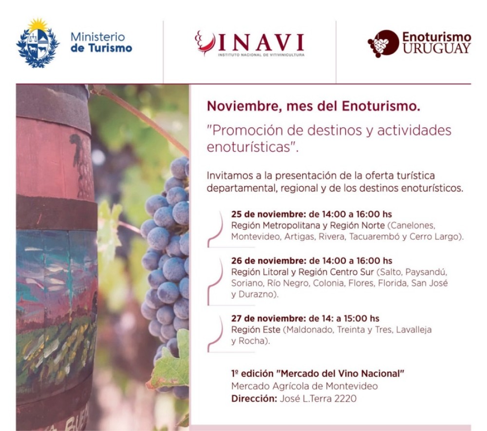 Enoturismo en el MAM
