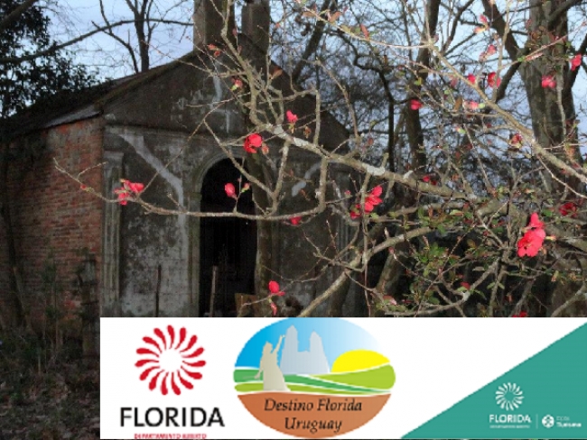 Resumen del Observatorio tur&iacute;stico de Florida 2018