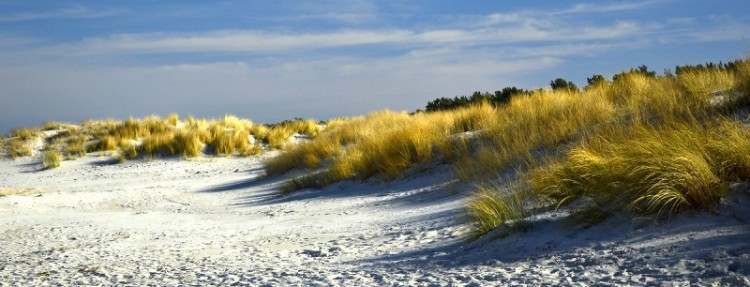 Turismo interno ser&aacute; la primera apertura