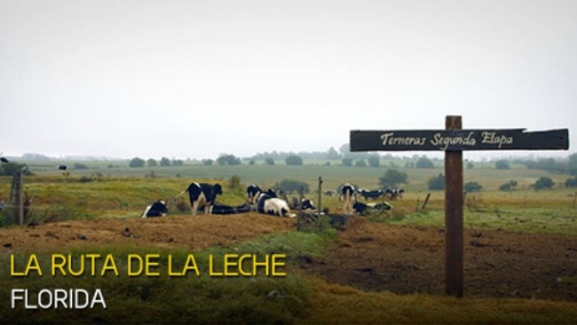 Florida presenta las Rutas tem&aacute;ticas en la reuni&oacute;n nacional de Directores de Turismo